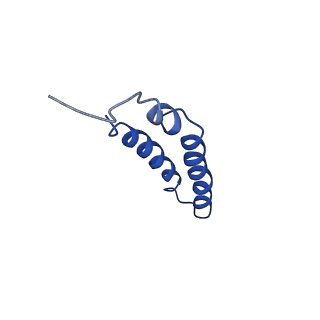 4042_5leg_5A_v1-1
Structure of the bacterial sex F pilus (pED208)