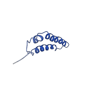 4042_5leg_5C_v1-1
Structure of the bacterial sex F pilus (pED208)