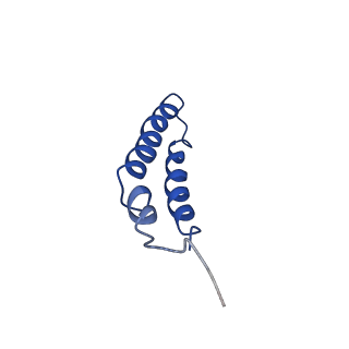 4042_5leg_5F_v1-1
Structure of the bacterial sex F pilus (pED208)