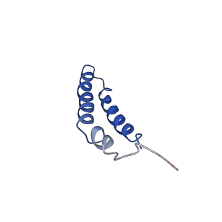 4042_5leg_5G_v1-1
Structure of the bacterial sex F pilus (pED208)