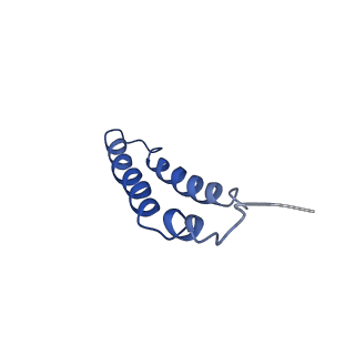 4042_5leg_5H_v1-1
Structure of the bacterial sex F pilus (pED208)