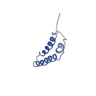 4042_5leg_5K_v1-1
Structure of the bacterial sex F pilus (pED208)