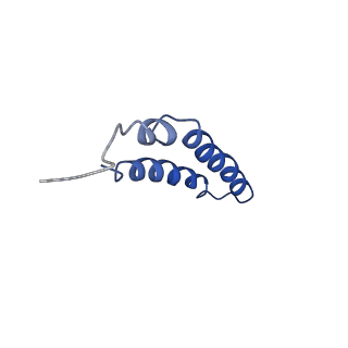 4042_5leg_5O_v1-1
Structure of the bacterial sex F pilus (pED208)