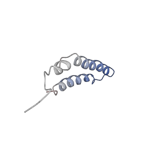 4042_5leg_5P_v1-1
Structure of the bacterial sex F pilus (pED208)