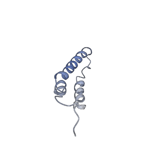 4044_5ler_1A_v1-3
Structure of the bacterial sex F pilus (13.2 Angstrom rise)