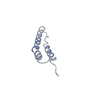 4044_5ler_1B_v1-3
Structure of the bacterial sex F pilus (13.2 Angstrom rise)