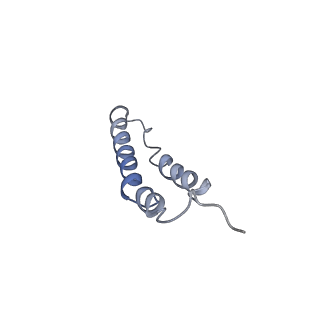 4044_5ler_1C_v1-3
Structure of the bacterial sex F pilus (13.2 Angstrom rise)