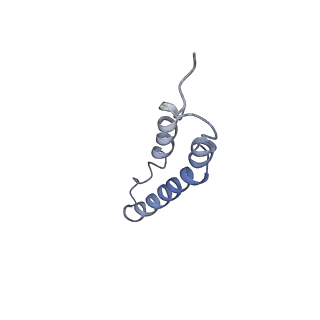 4044_5ler_1G_v1-3
Structure of the bacterial sex F pilus (13.2 Angstrom rise)