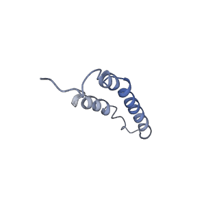 4044_5ler_1J_v1-3
Structure of the bacterial sex F pilus (13.2 Angstrom rise)