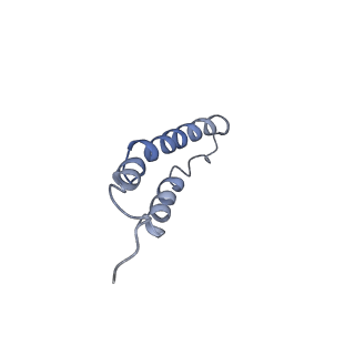4044_5ler_1M_v1-3
Structure of the bacterial sex F pilus (13.2 Angstrom rise)