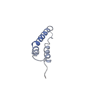 4044_5ler_1N_v1-3
Structure of the bacterial sex F pilus (13.2 Angstrom rise)