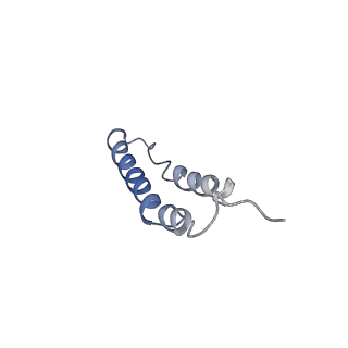 4044_5ler_2A_v1-3
Structure of the bacterial sex F pilus (13.2 Angstrom rise)
