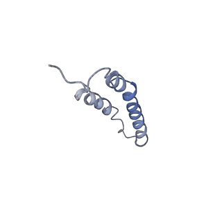 4044_5ler_2G_v1-3
Structure of the bacterial sex F pilus (13.2 Angstrom rise)