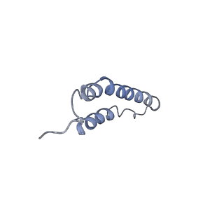 4044_5ler_2I_v1-3
Structure of the bacterial sex F pilus (13.2 Angstrom rise)