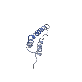 4044_5ler_2K_v1-3
Structure of the bacterial sex F pilus (13.2 Angstrom rise)