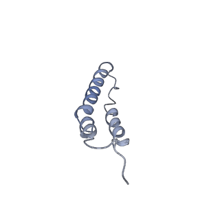 4044_5ler_2L_v1-3
Structure of the bacterial sex F pilus (13.2 Angstrom rise)