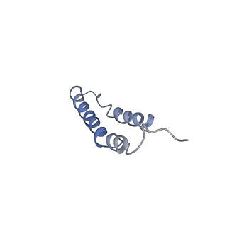 4044_5ler_2N_v1-3
Structure of the bacterial sex F pilus (13.2 Angstrom rise)