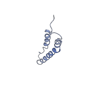 4044_5ler_3B_v1-3
Structure of the bacterial sex F pilus (13.2 Angstrom rise)