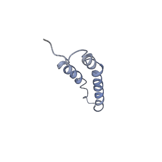 4044_5ler_3D_v1-3
Structure of the bacterial sex F pilus (13.2 Angstrom rise)