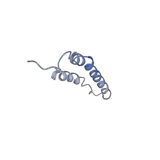 4044_5ler_3E_v1-3
Structure of the bacterial sex F pilus (13.2 Angstrom rise)