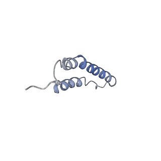 4044_5ler_3F_v1-3
Structure of the bacterial sex F pilus (13.2 Angstrom rise)