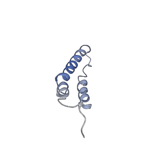 4044_5ler_3I_v1-3
Structure of the bacterial sex F pilus (13.2 Angstrom rise)