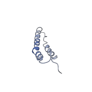 4044_5ler_3J_v1-3
Structure of the bacterial sex F pilus (13.2 Angstrom rise)