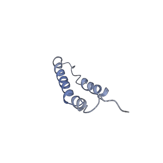 4044_5ler_3K_v1-3
Structure of the bacterial sex F pilus (13.2 Angstrom rise)