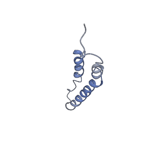4044_5ler_3O_v1-3
Structure of the bacterial sex F pilus (13.2 Angstrom rise)