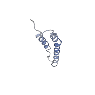 4044_5ler_4A_v1-3
Structure of the bacterial sex F pilus (13.2 Angstrom rise)