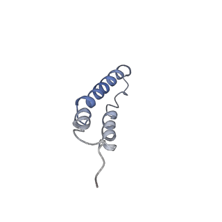 4044_5ler_4F_v1-3
Structure of the bacterial sex F pilus (13.2 Angstrom rise)
