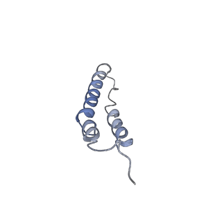 4044_5ler_4G_v1-3
Structure of the bacterial sex F pilus (13.2 Angstrom rise)