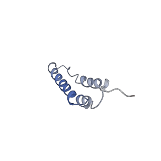 4044_5ler_4I_v1-3
Structure of the bacterial sex F pilus (13.2 Angstrom rise)