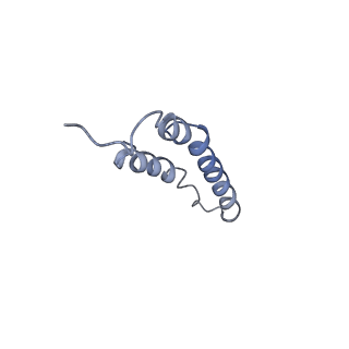 4044_5ler_4O_v1-3
Structure of the bacterial sex F pilus (13.2 Angstrom rise)