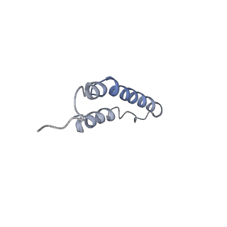 4044_5ler_5A_v1-3
Structure of the bacterial sex F pilus (13.2 Angstrom rise)
