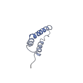 4044_5ler_5C_v1-3
Structure of the bacterial sex F pilus (13.2 Angstrom rise)