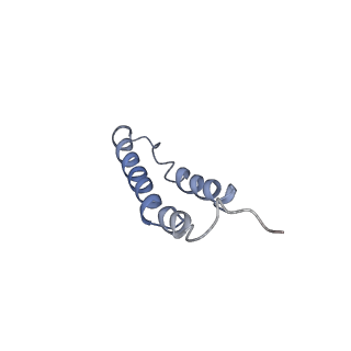 4044_5ler_5F_v1-3
Structure of the bacterial sex F pilus (13.2 Angstrom rise)