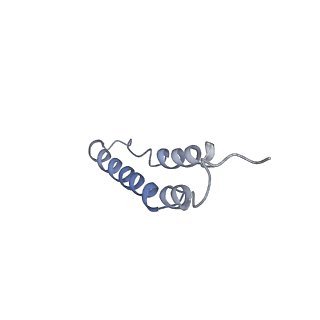 4044_5ler_5G_v1-3
Structure of the bacterial sex F pilus (13.2 Angstrom rise)