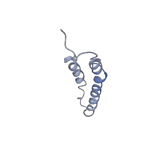 4044_5ler_5K_v1-3
Structure of the bacterial sex F pilus (13.2 Angstrom rise)