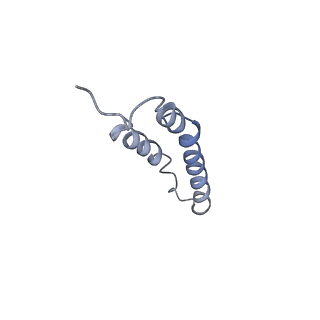 4044_5ler_5L_v1-3
Structure of the bacterial sex F pilus (13.2 Angstrom rise)