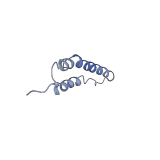 4044_5ler_5N_v1-3
Structure of the bacterial sex F pilus (13.2 Angstrom rise)