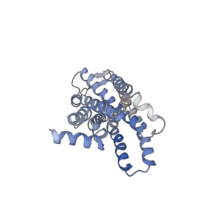 0877_6lfm_R_v1-1
Cryo-EM structure of a class A GPCR