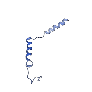 0879_6lfo_C_v1-1
Cryo-EM structure of a class A GPCR monomer