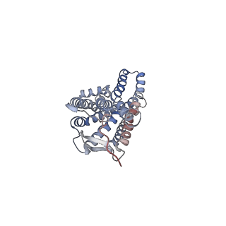 0879_6lfo_R_v1-1
Cryo-EM structure of a class A GPCR monomer