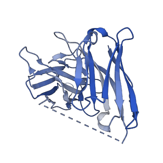 0879_6lfo_S_v1-1
Cryo-EM structure of a class A GPCR monomer