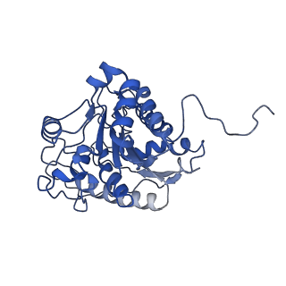 23296_7lf0_A_v1-0
Trimeric human Arginase 1 in complex with mAb2