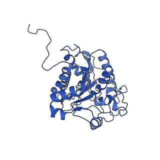 23296_7lf0_B_v1-0
Trimeric human Arginase 1 in complex with mAb2
