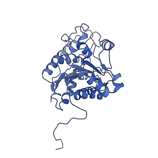 23296_7lf0_C_v1-0
Trimeric human Arginase 1 in complex with mAb2
