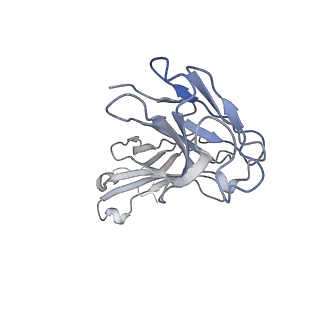 23296_7lf0_E_v1-0
Trimeric human Arginase 1 in complex with mAb2