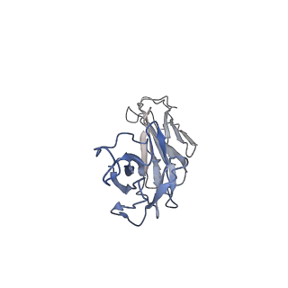 23296_7lf0_F_v1-0
Trimeric human Arginase 1 in complex with mAb2